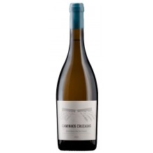 Caminhos Cruzados Reserva Encruzado 2021 Bílé víno