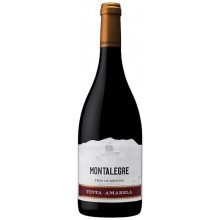 Mont'Alegre Červené víno Tinta Amarela 2017