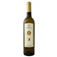 Grønne viner|Winefromportugal