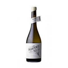 Vinho Verde|Winefromportugal