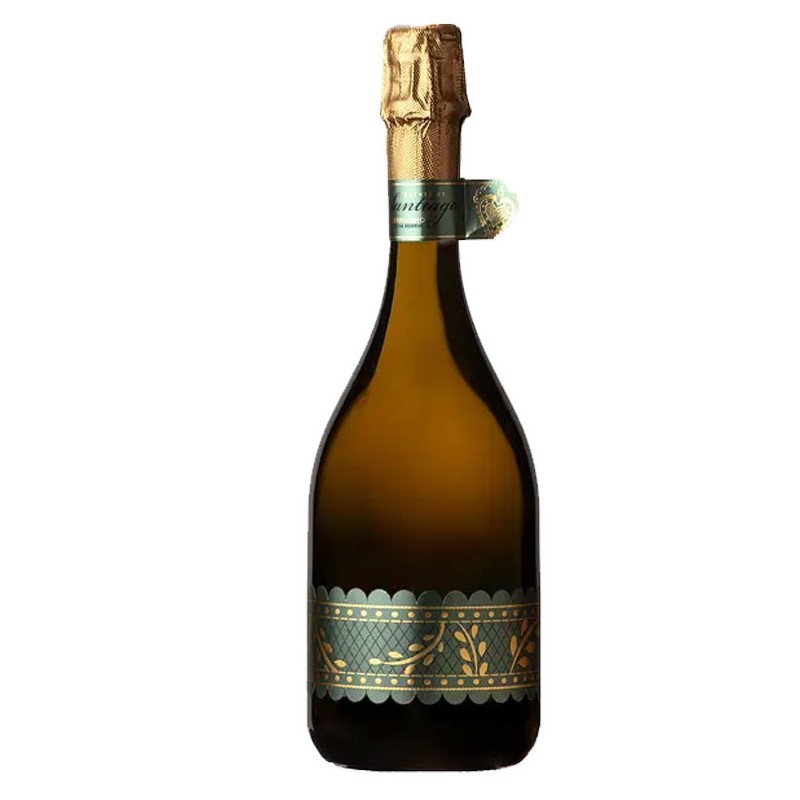 copy of Quinta de Santiago 2020 Valkoinen viini