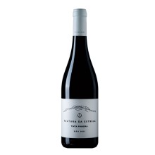 Texture von Estrela Tinta Pinheira 2021 Rotwein