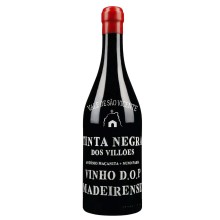Tinta Negra Vale de São Vicente 2022 Red