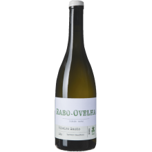 Ribeiro Santo Rabo de Ovelha 2020 Bílé víno|Winefromportugal