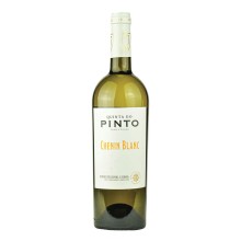 Quinta do Pinto Bílé víno Chenin Blanc 2022|Winefromportugal