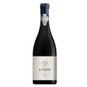 Lusus 2020 Rode Wijn|Winefromportugal