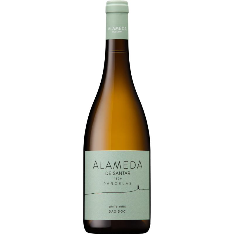 Alameda de Santar Parcelas 2021 Bílé víno|Winefromportugal