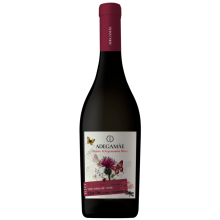 Lissabonin viinit|Winefromportugal