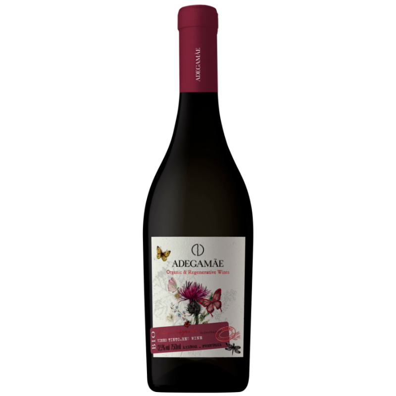 Adega Mãe Organisch & Regenerative 2022 Rotwein Adega Mãe Organisch & Regenerative 2022 Rotwein