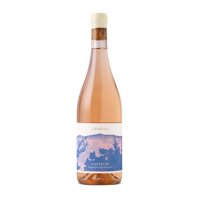 Tojo Lágrima 2023 Rosé Wine,localhost:8888 Tojo Lágrima 2023 Rosé Wine,localhost:8888