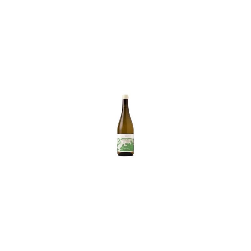 Tojo Blanc de Noir Castelão 2023 Valkoviini Tojo Blanc de Noir Castelão 2023 Valkoviini