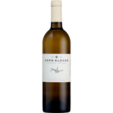 Alentejo viner|Winefromportugal