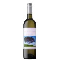 Sousa Lopes 2023 Valkoviini|Winefromportugal