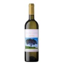Sousa Lopes Loureiro 2020 Valkoviini|Winefromportugal