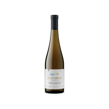 AlmaNua Terroir Maritimo 2024 valkoviini