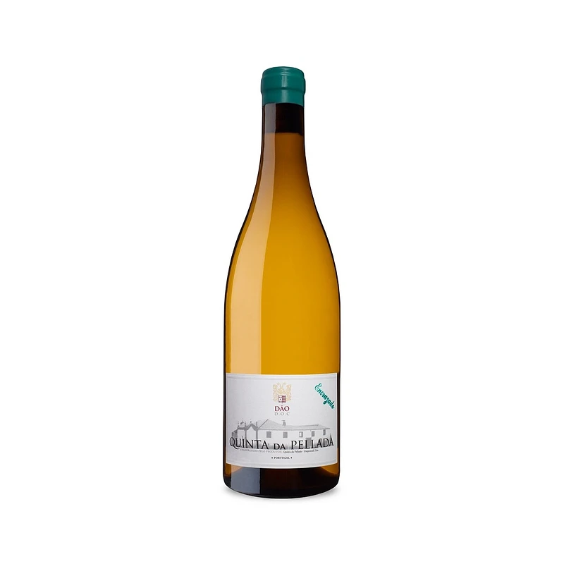 Quinta da Pellada Encruzado 2022 Hvidvin|Winefromportugal Quinta da Pellada Encruzado 2022 Hvidvin|Winefromportugal