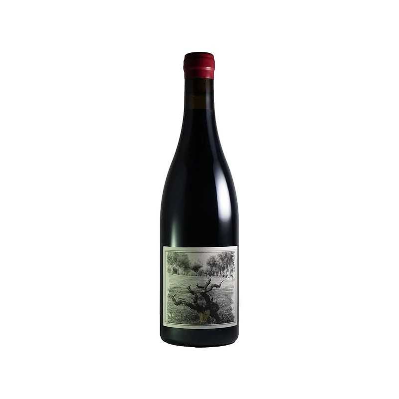 Quinta da Pellada Muleta 2020 rødvin|Winefromportugal Quinta da Pellada Muleta 2020 rødvin|Winefromportugal