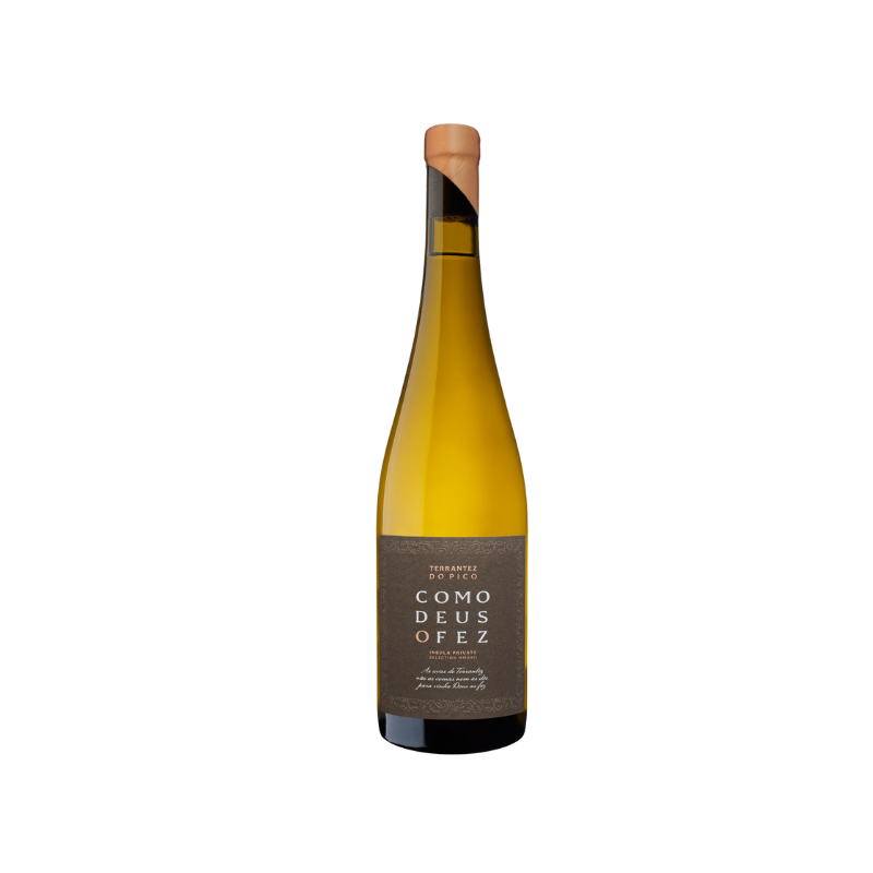 Insula como Deus o Fez Terrantez 2022 White Wine,localhost:8888 Insula como Deus o Fez Terrantez 2022 White Wine,localhost:8888