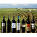 Speciální Alentejo Reds (12 lahví)|Winefromportugal