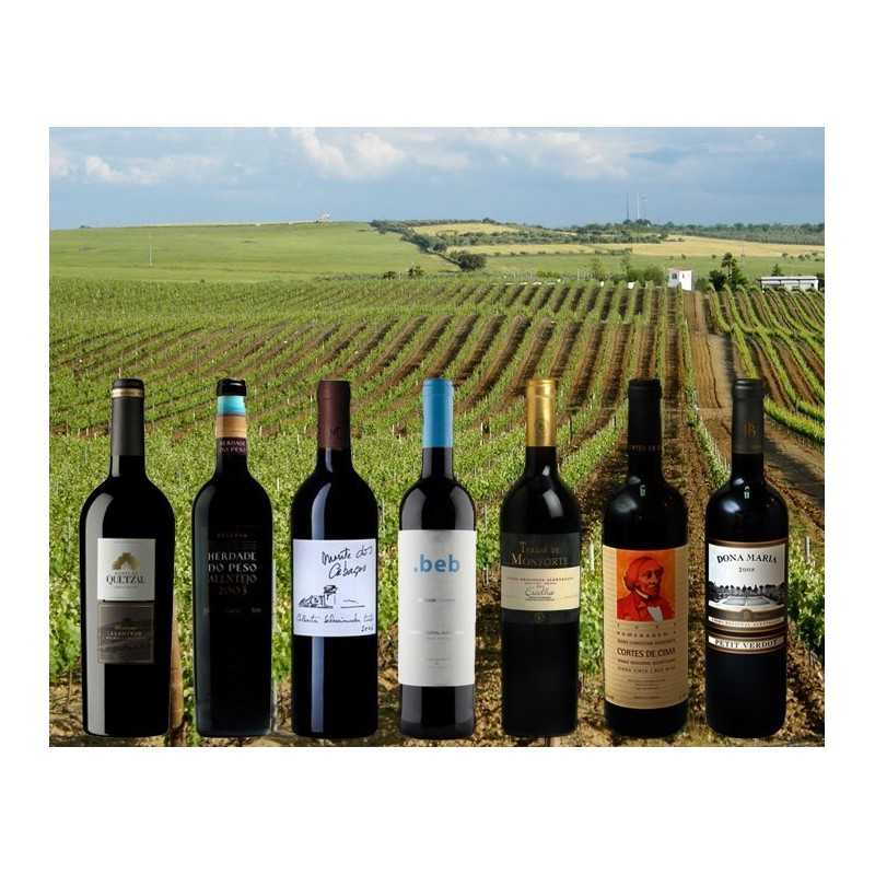 Speciální Alentejo Reds (12 lahví)|Winefromportugal