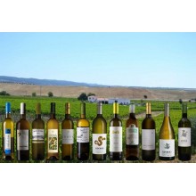 Special Whites Alentejo