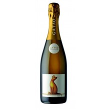 Funkanlage WHITE Wein|Winefromportugal