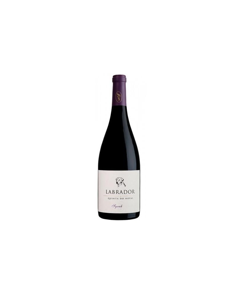 Labrador Syrah 2013 Red Wine Labrador Syrah 2013 Red Wine