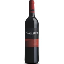 Alentejo viner|Winefromportugal