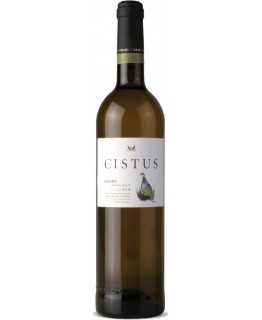 Cistus Reserva 2018 White Wine