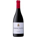 Červené víno Ribeiro Santo 2019