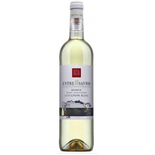 Bairrada Viner|Winefromportugal