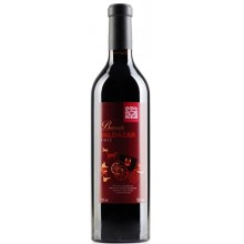 Bairrada Viner|Winefromportugal
