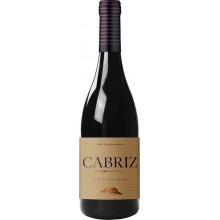 Červené víno Cabriz Touriga Nacional 2016