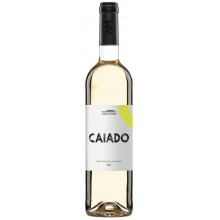 Bílé víno Caiado 2018