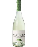 Cabriz Colheita Seleccionada 2019 Bílé víno