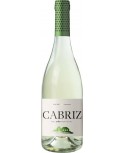 Bílé víno Cabriz Colheita Seleccionada 2019