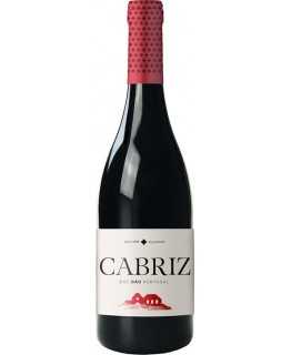 Dejte vína|Winefromportugal