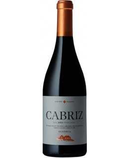 Cabriz Reserva 2015 rødvin|Winefromportugal