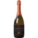 Cabriz Brut Mousserende witte wijn|Winefromportugal