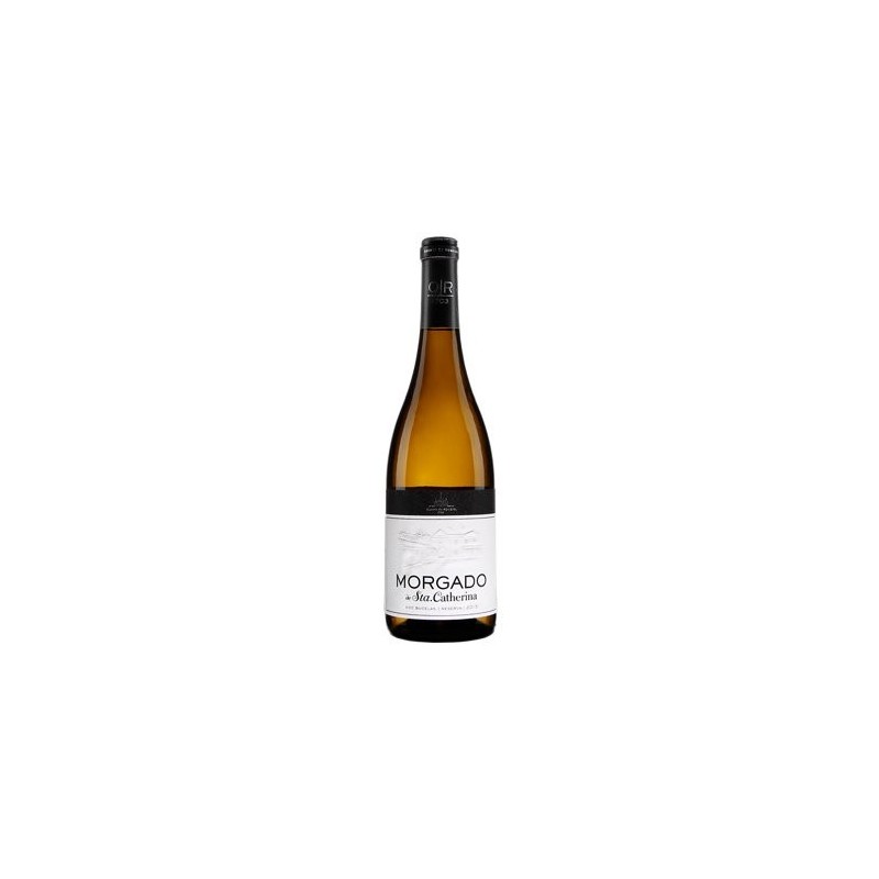 Morgado de Santa Catherina 2019 hvidvin|Winefromportugal