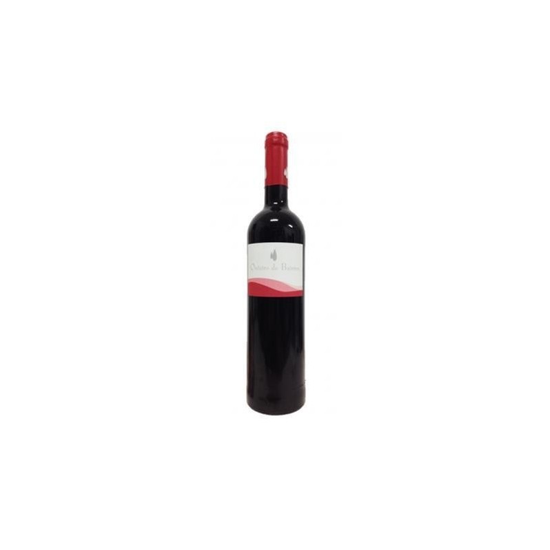 Červené víno Outeiro de Bairros 2015