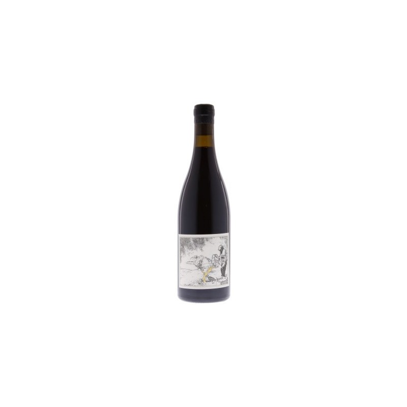 Quinta da Pellada Barragem 2013 Rotwein|Winefromportugal