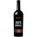Blandy's Sercial Vintage 1975 Double Magnum Madeira víno