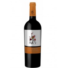 Alentejo Wines|Winefromportugal