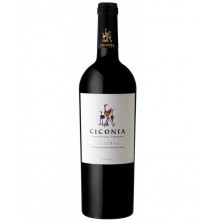 Červené víno Cicónia Reserva 2016|Winefromportugal