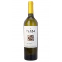 Terra D'Alter Reserva 2015 Bílé víno