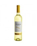 Terra D'Alter Arinto 2012 White Wine