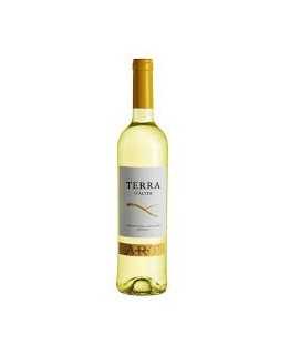Terra D'Alter Arinto 2012 Bílé víno