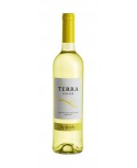 Terra D'Alter Alvarinho 2015 White Wine