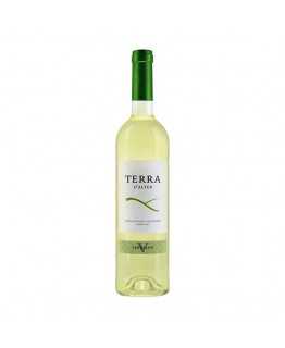 Terra D'Alter Verdelho 2015 Bílé víno